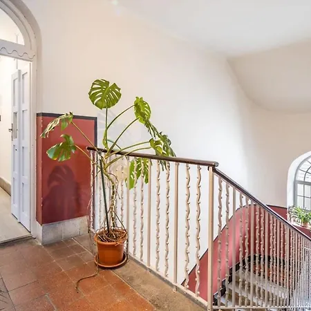 Quiet Charming Near The Center Appartamento